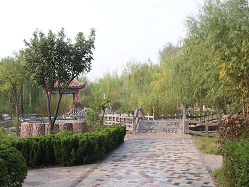 景區(qu)展(zhan)示35