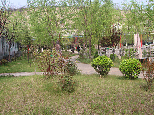 景區(qu)展(zhan)示43