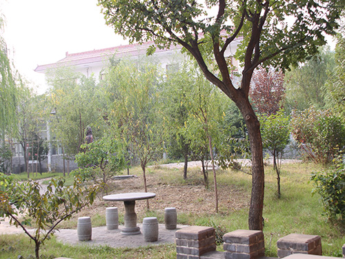 景區(qu)展(zhan)示39