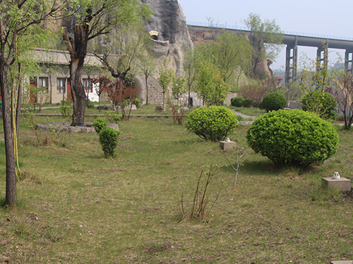 景區(qu)展(zhan)示65